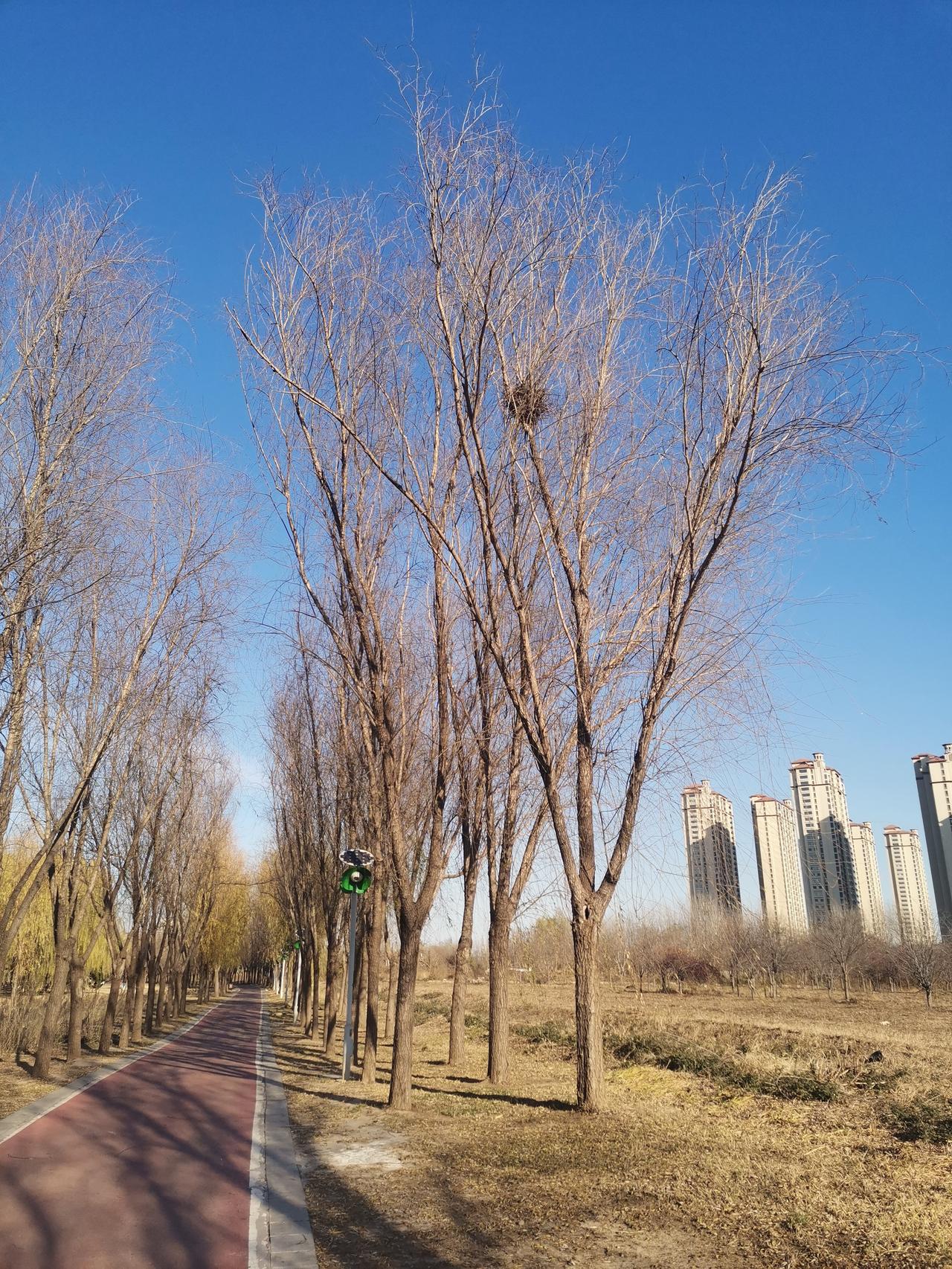 真正的冬天终于来临了！
    刮了一夜的北风，今天气温骤降，路人能明显地感觉到