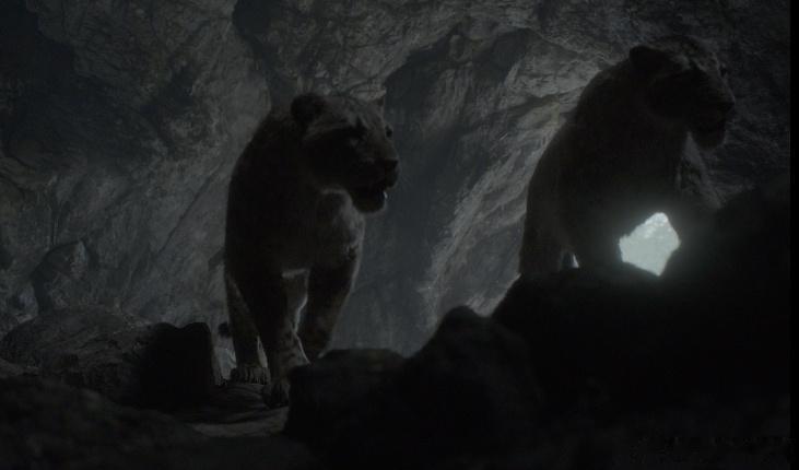 北方魁梧的大猫为何缩水了？
科普古生物化石
      《史前星球·冰河世纪》最