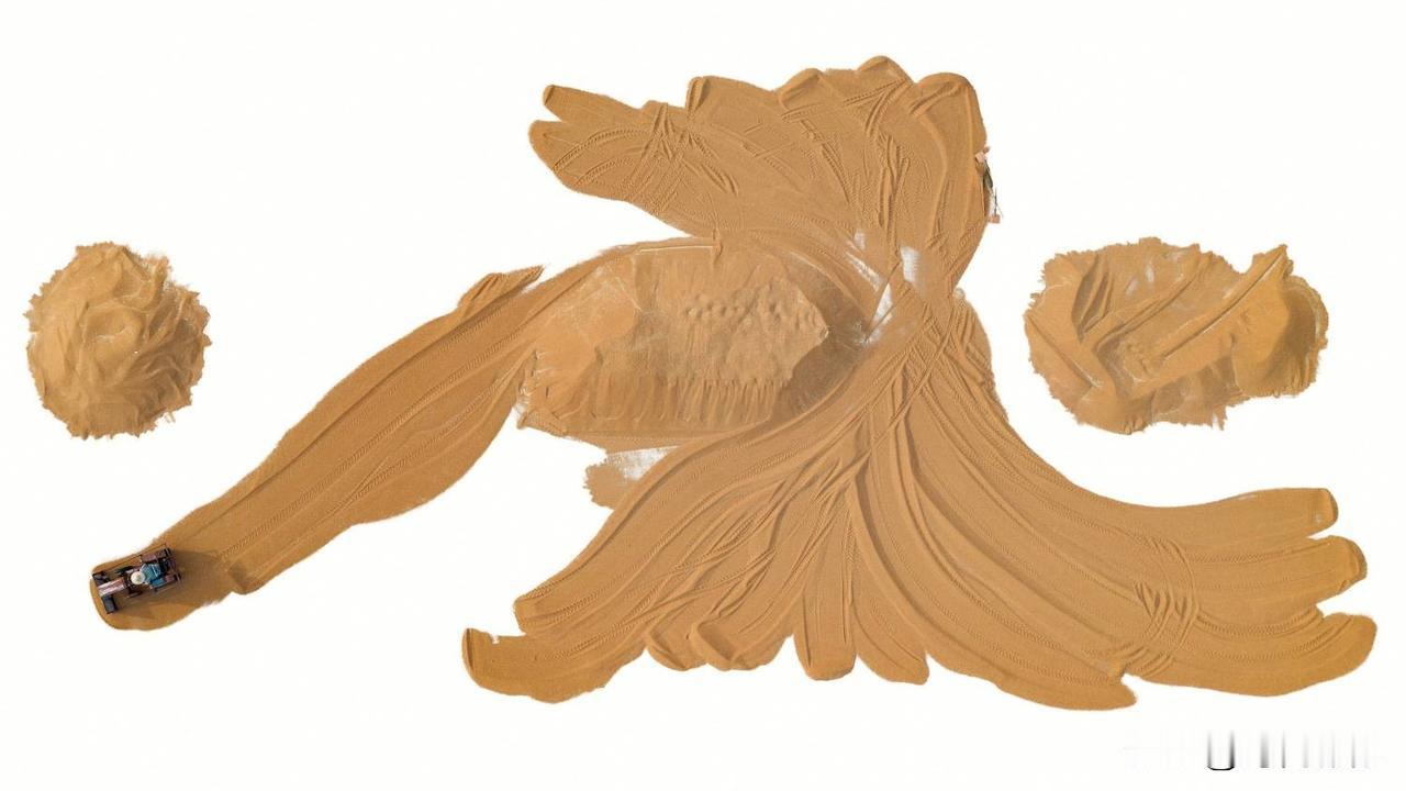 第十六届山东省摄影艺术展艺术类铜质奖《麦场写意》评语：
作品以鸟瞰视角表现山东