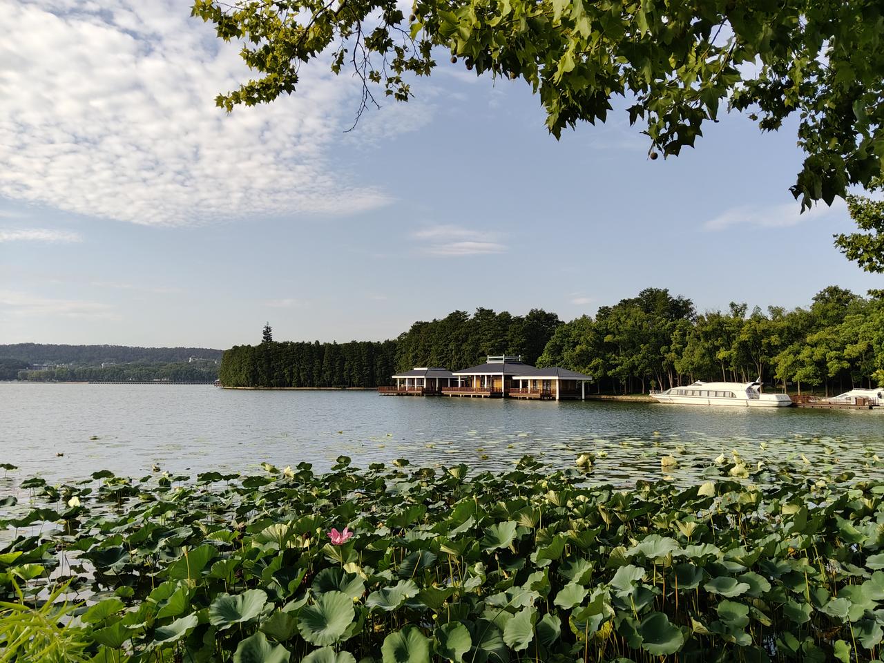 分享今日美景戳这里，一起领红包>东湖美景