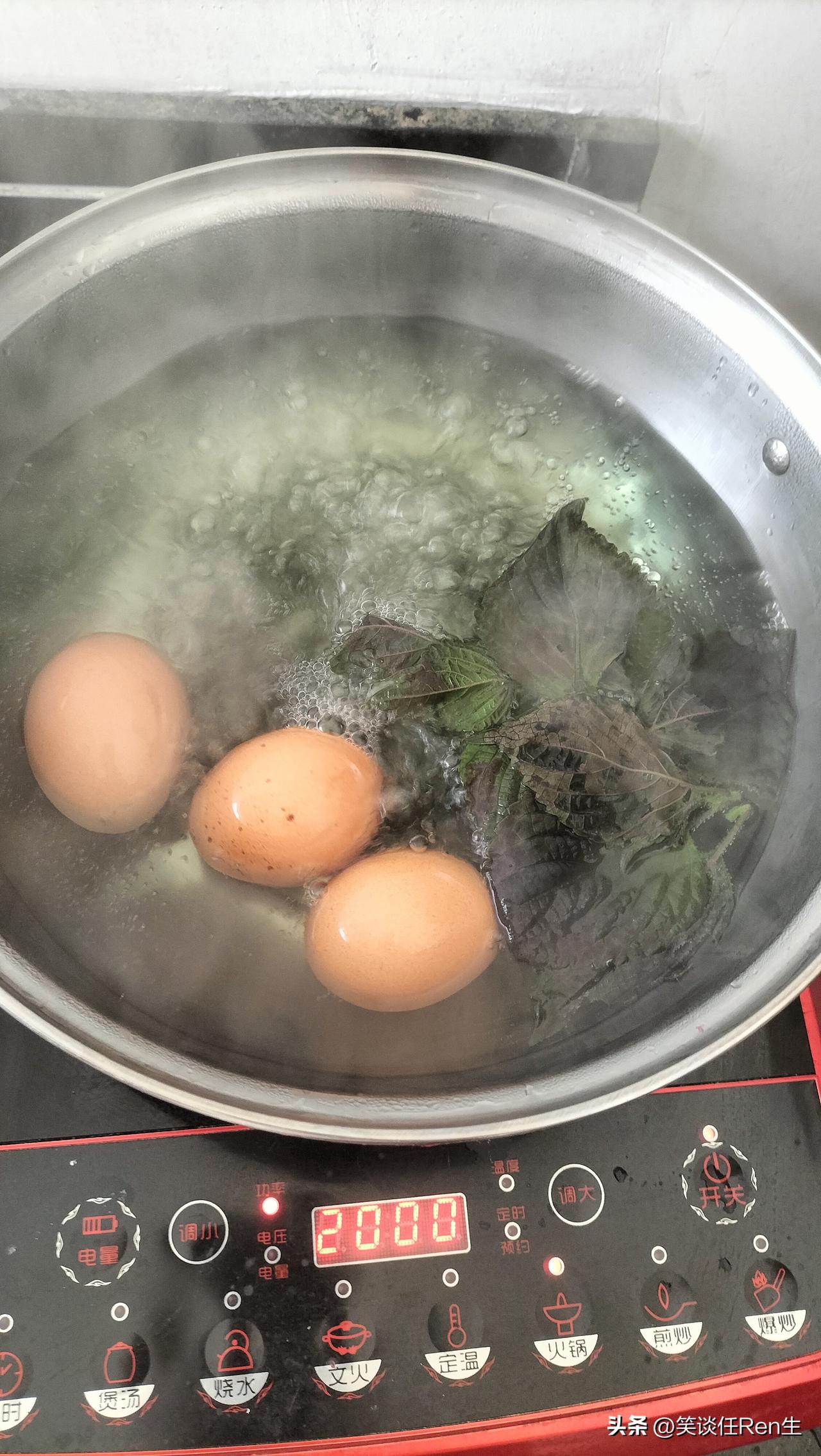 老家种了两棵紫苏，一棵被淹死了，另外一棵，除了被虫子咬，长的还挺好。

老婆不知