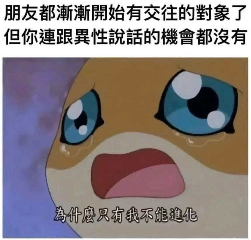 别着急呀 ​​​
