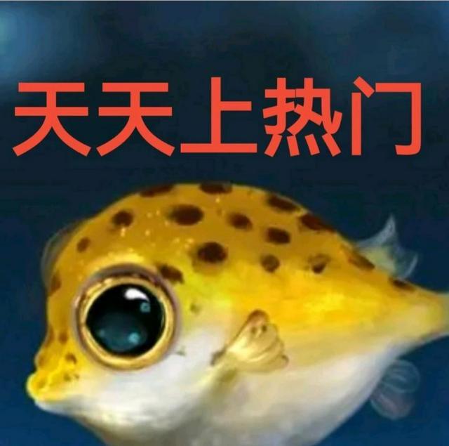 支持铁友图文并茂的分享[赞][赞][赞][玫瑰][玫瑰][玫瑰][握手][鼓掌]