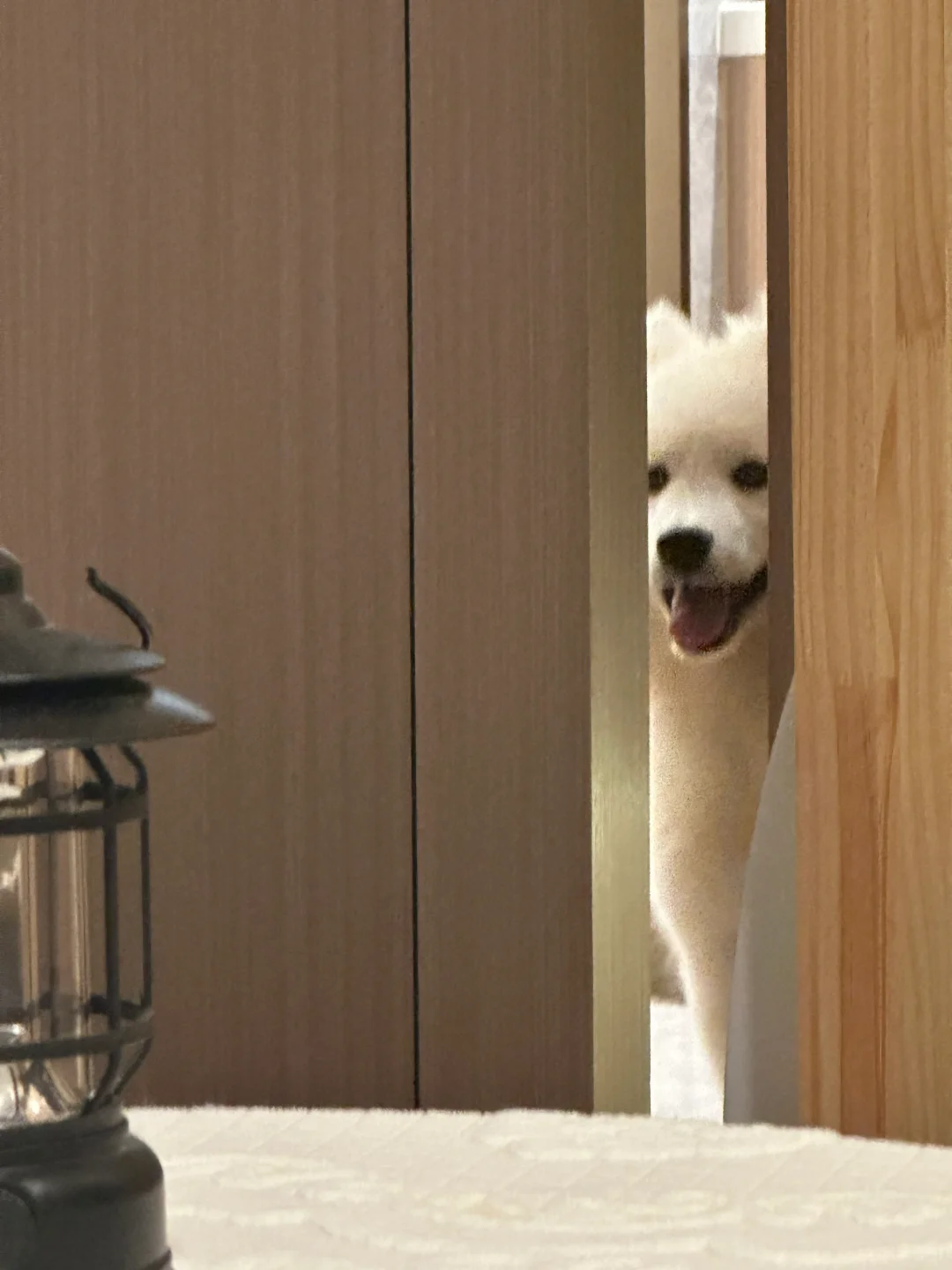 麻麻酱 宝宝可以跟你一起玩嘛