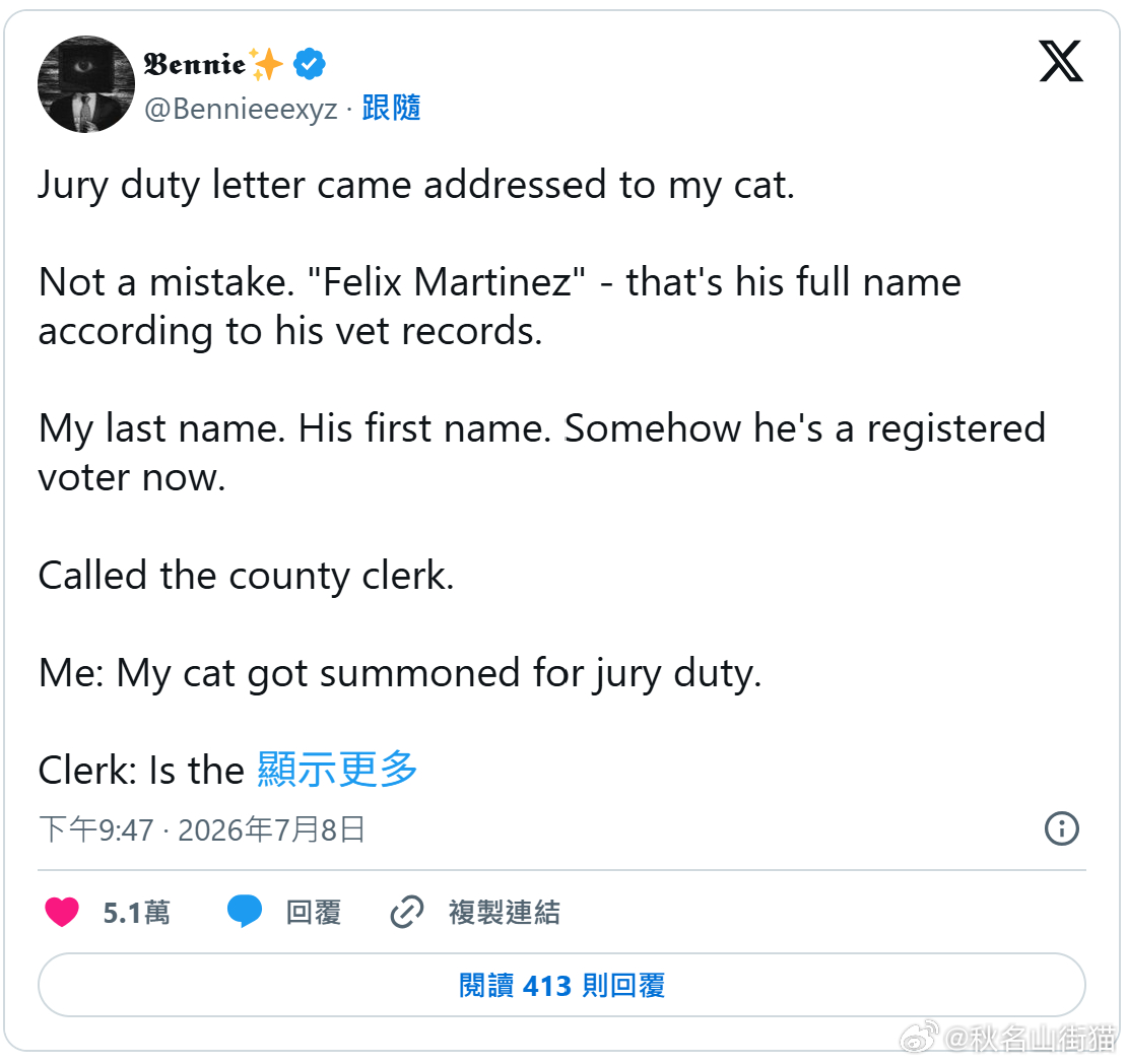 家猫竟收到陪审团传票！主人两次申请豁免被拒，最后直接抱猫上法庭海外新鲜事 一则离