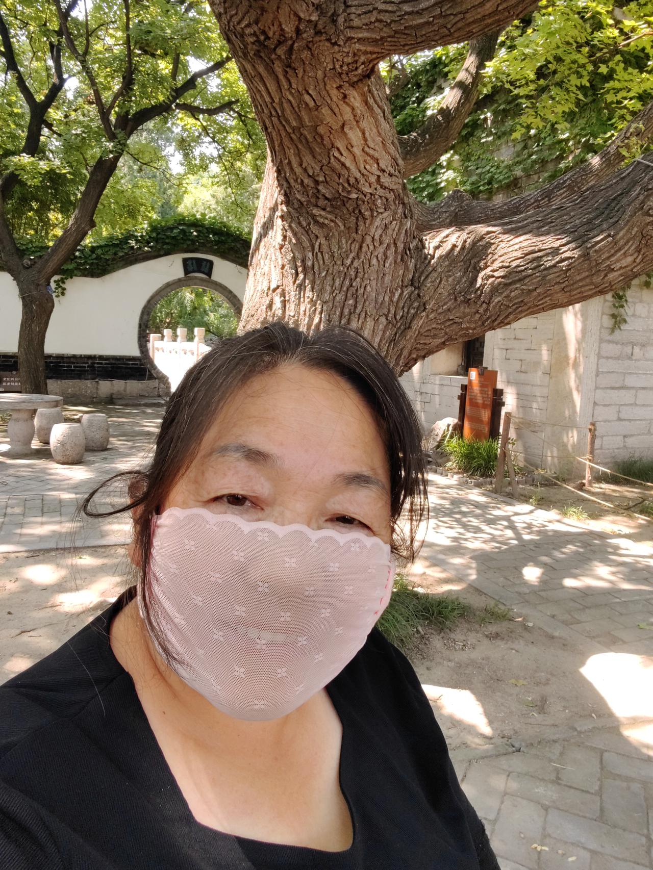 累了，不想走路了，那就在偶园坐着休息吧。
    本来想游览青州古城，爬云门山。