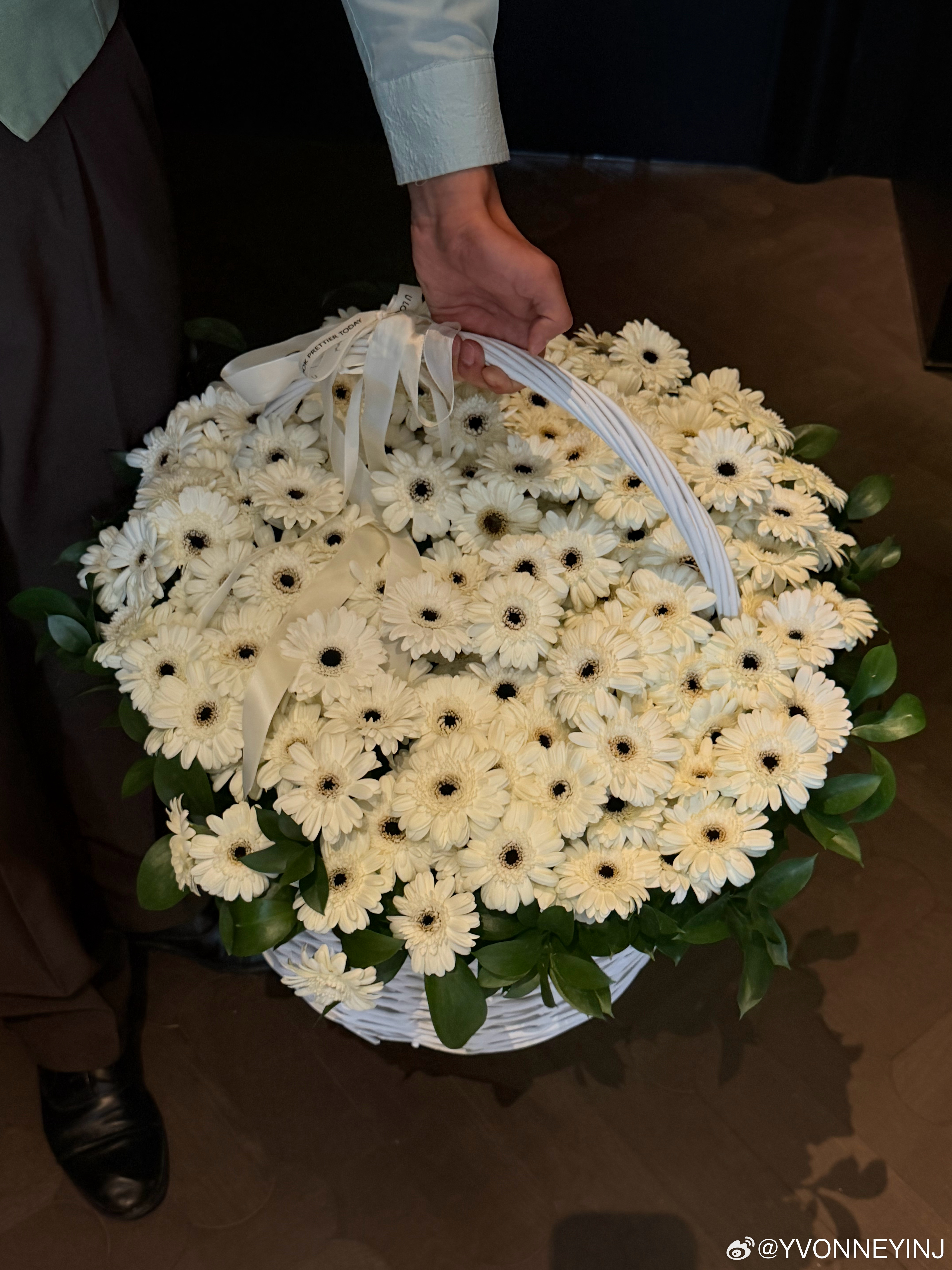 春天的花 