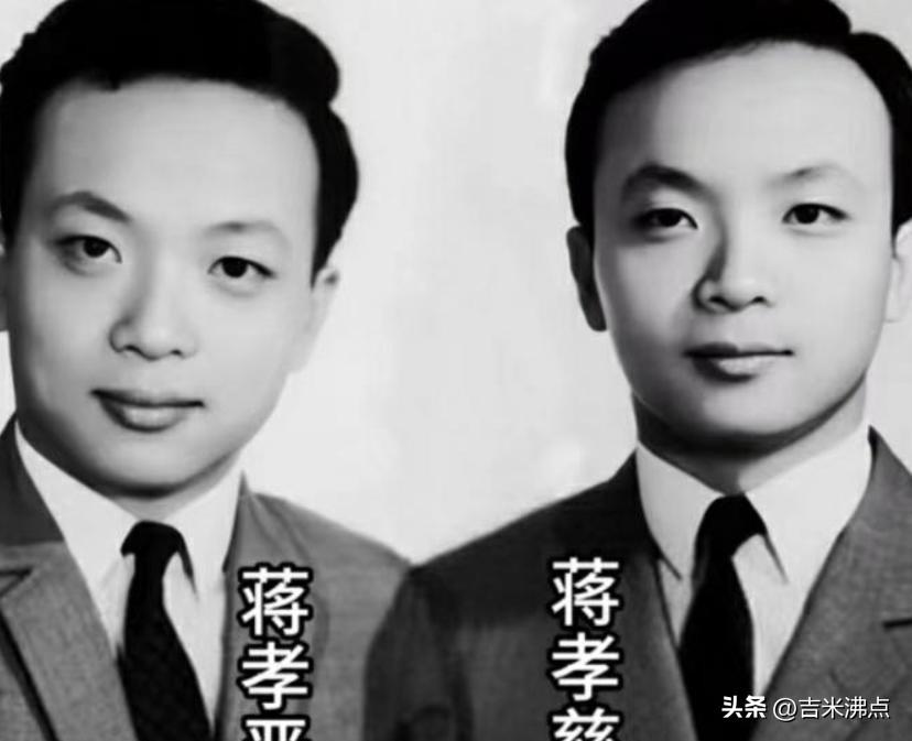 万安不是名字，是蒋经国藏在孙子身上的最后一张底牌，他到底想告诉后人什么？
蒋万安