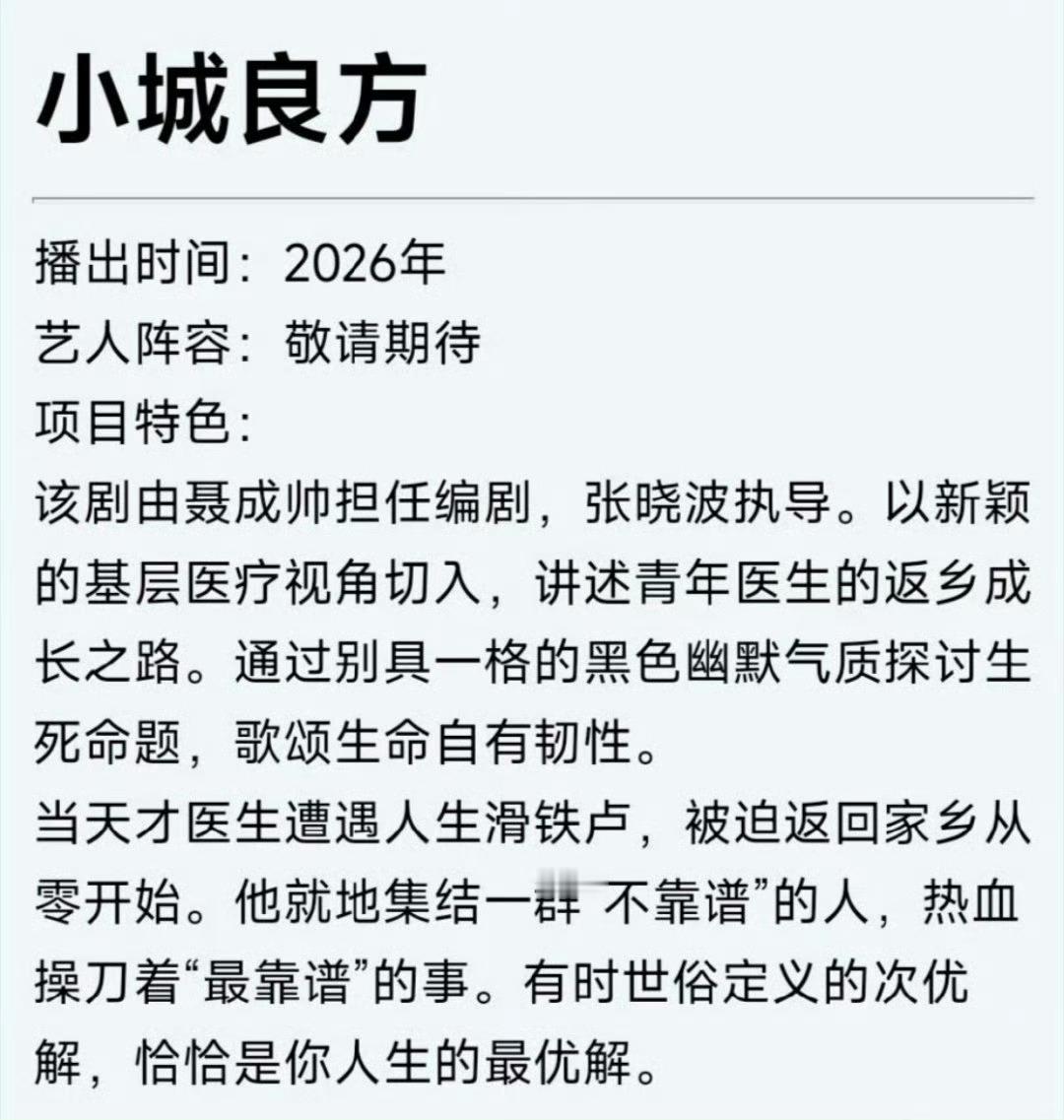 肖战《小城良方》项目简介一览小城良方 肖战 ​​​
