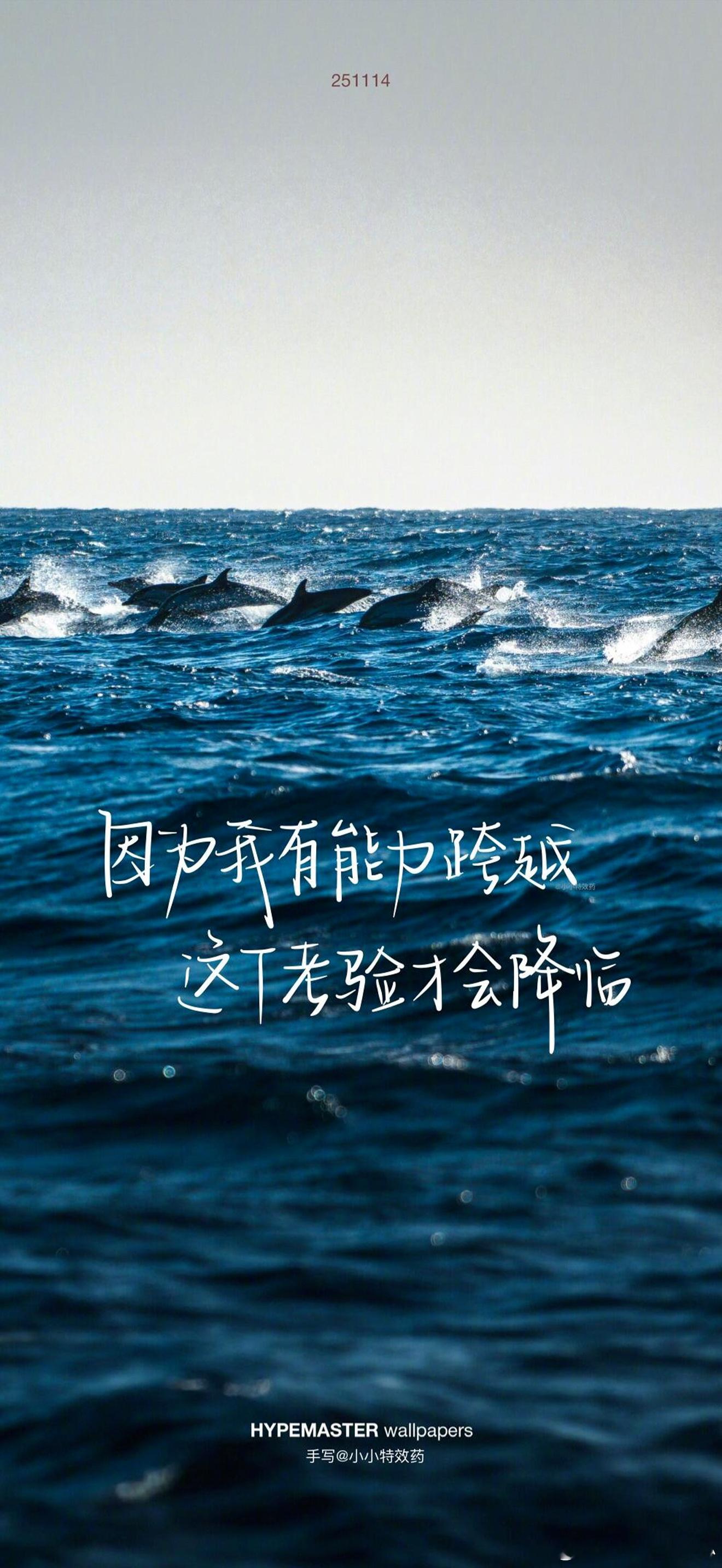 ✨身弱野心家，你要尽快成为不吃压力之人命理中有一个词，叫“忌神”。忌神，就是你的