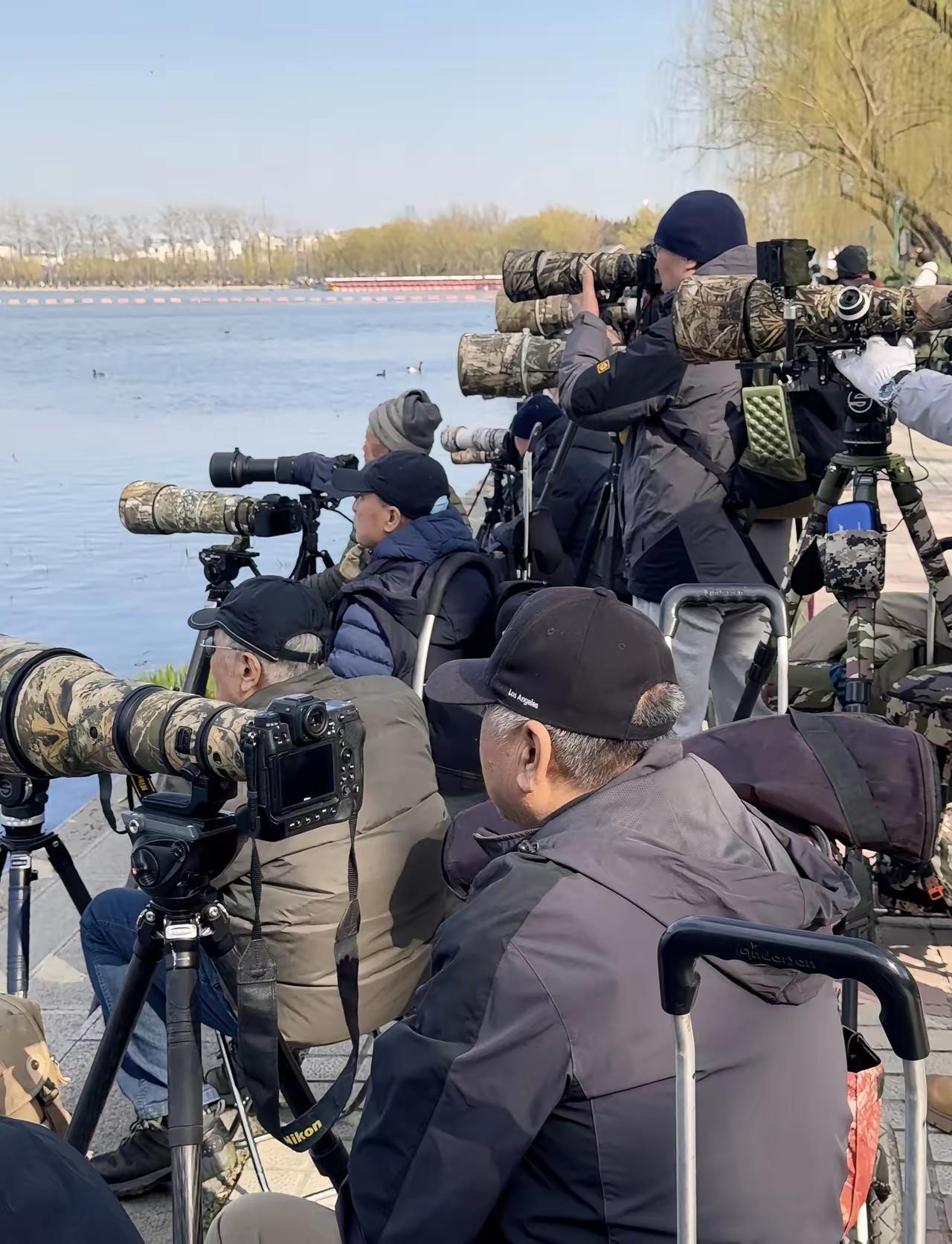 看看北京的大爷们，真有钱！各个架着长枪短炮，够专业的。人家不光会品茶，遛鸟，这高