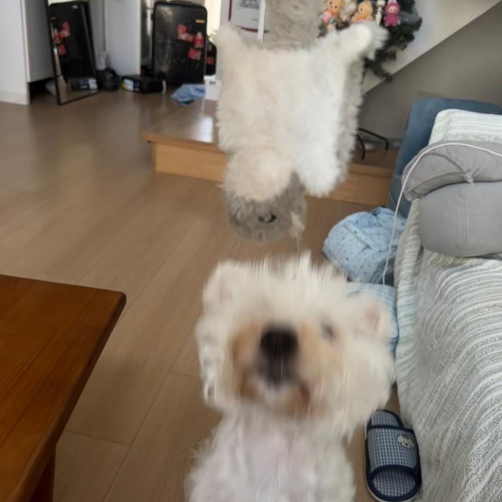 热闹的一家 