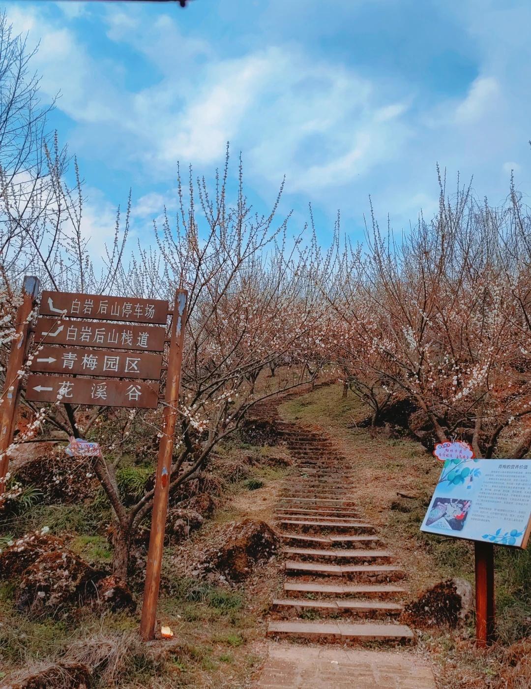 大邑雁鹅村
成都的温度一路飙升，山上的花都开好了，导航大邑雁鹅村（挨着花溪谷），