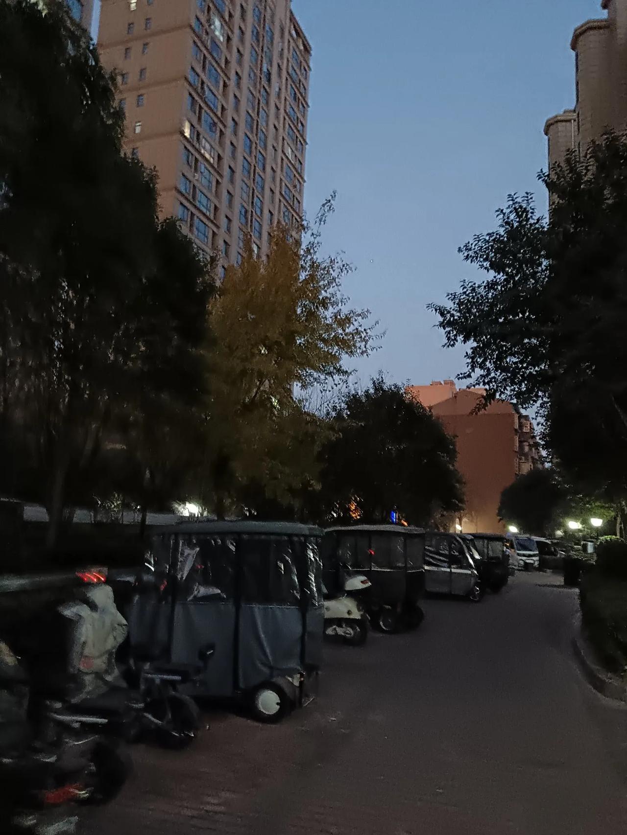 散步时随拍分享