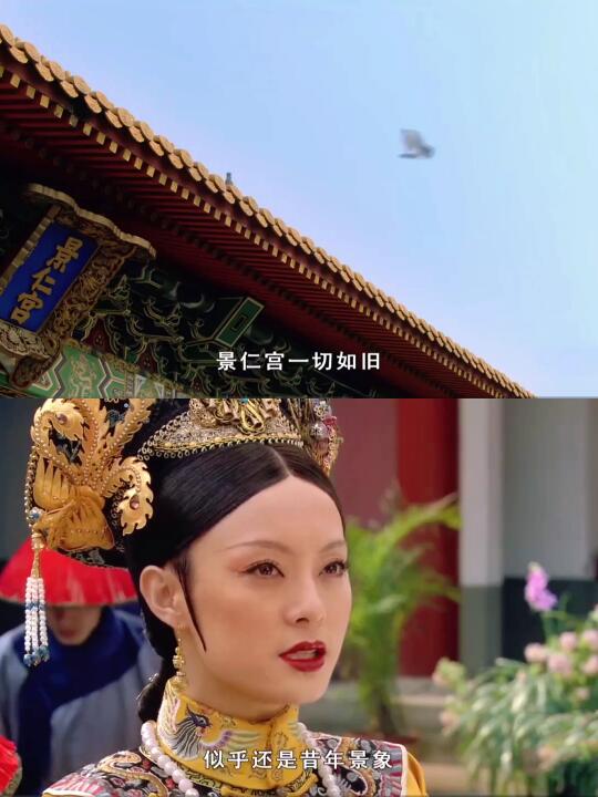 不懂就问：甄嬛给宜修养群鸽子用意何在？
