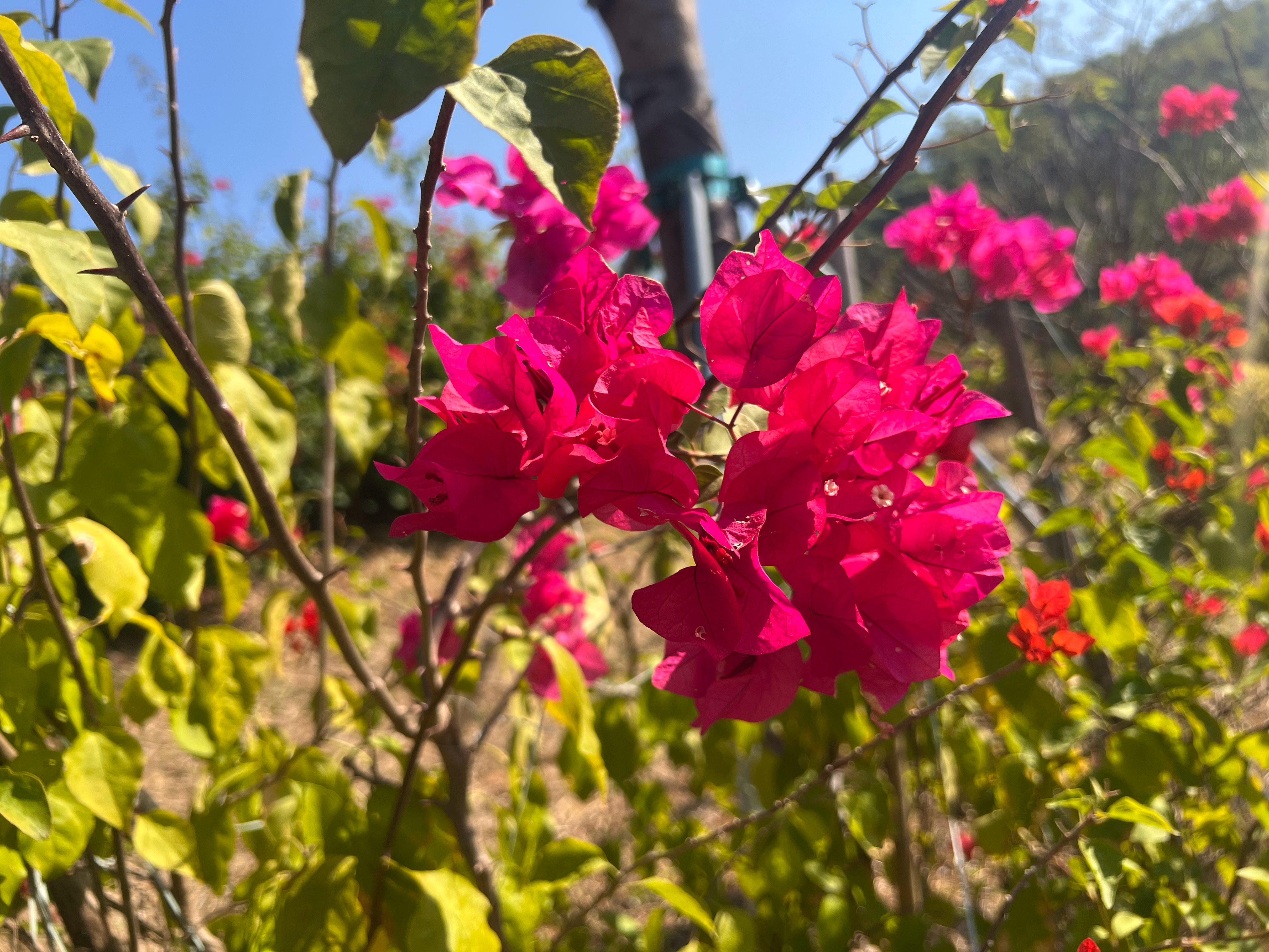 现在人的气量越来越狭窄，相互间不能容忍，这就是为什么现在社会离婚率越来越高，因为