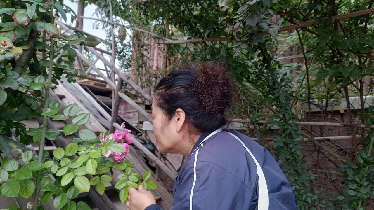 #退休后的生活是怎么样的?##退休日常分享# #退休生活真自由#