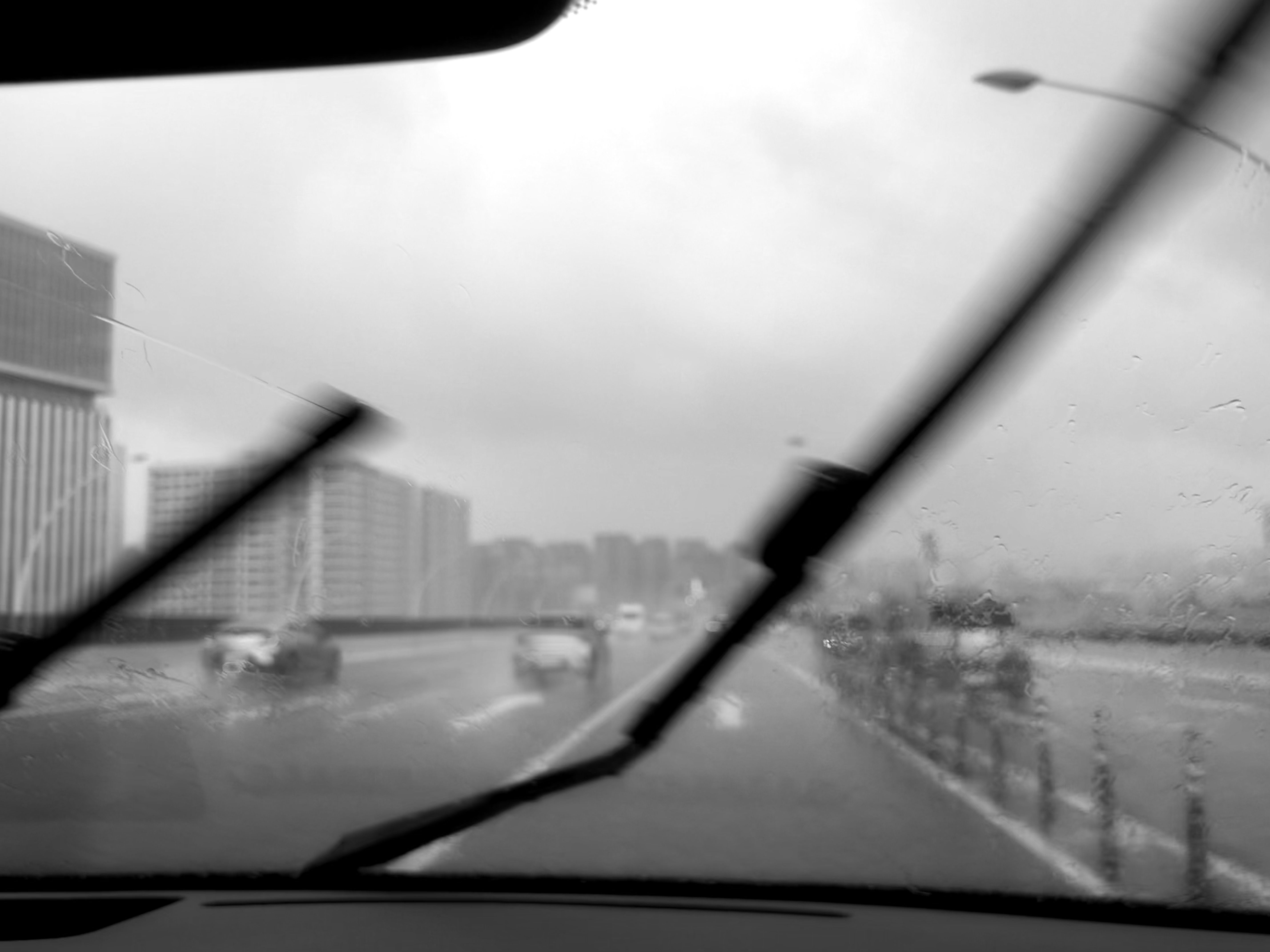 白海豚这影响，比上次强多了啊…公司发来个通知：请大家打车去地铁站，再上班，注意安