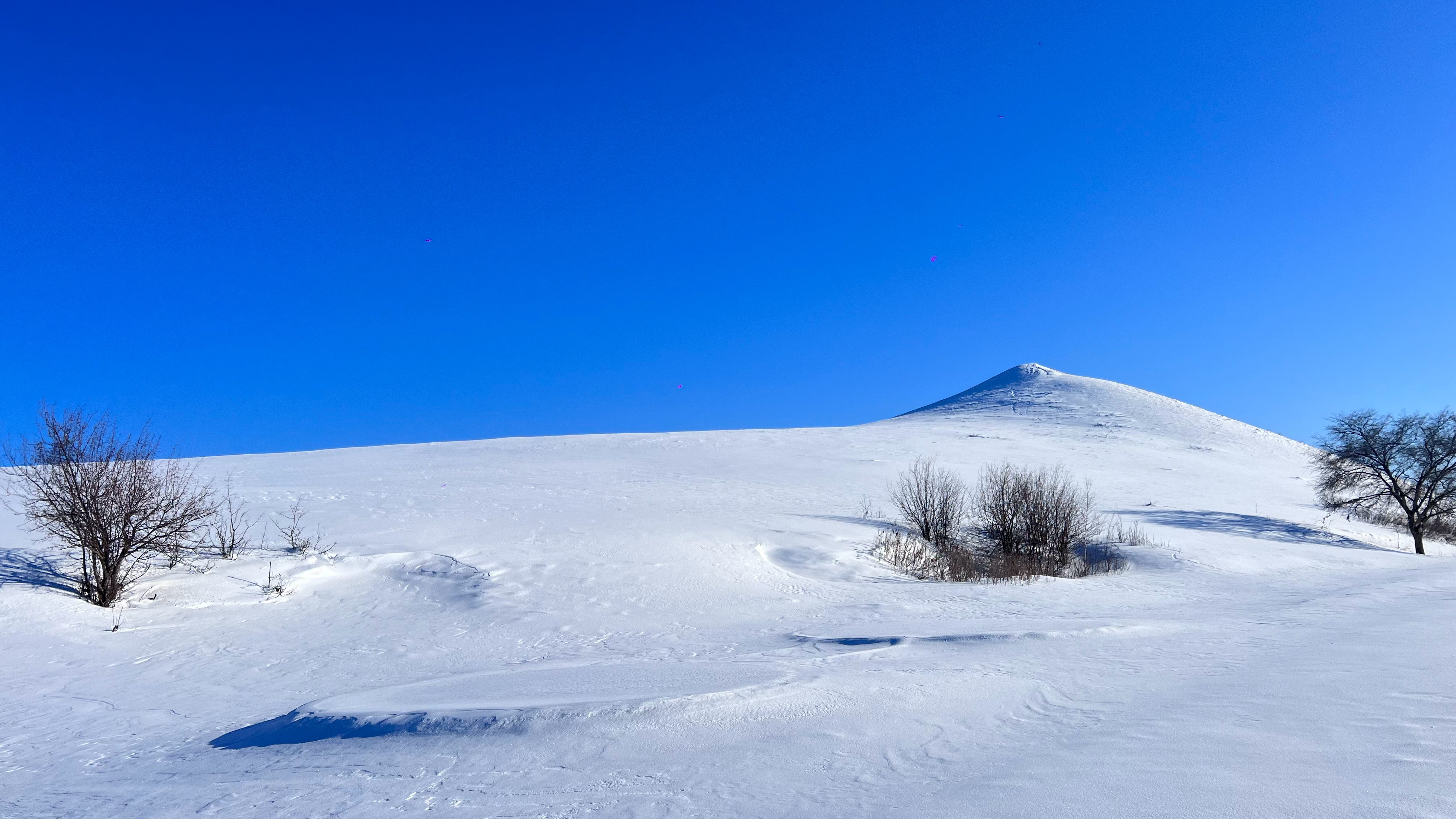 16：9不香？那是没去对地方呼伦贝尔极寒雪原才是灵魂啊缓不过来劲儿哇哇哇[笑cr