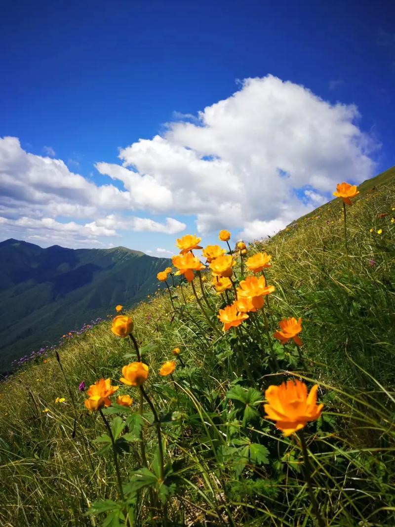 五台山的清明时节云淡风轻，昨天下午还下了场雪，以为坏了，会引响旅途，没想当只下了