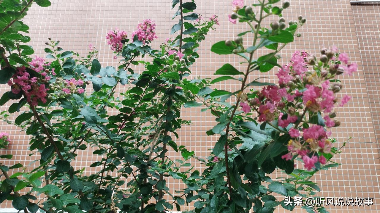 ❤️岁月里有坚持，行为中有努力！弱者永远观望 而勇者永远胜利！

每一次的总结都