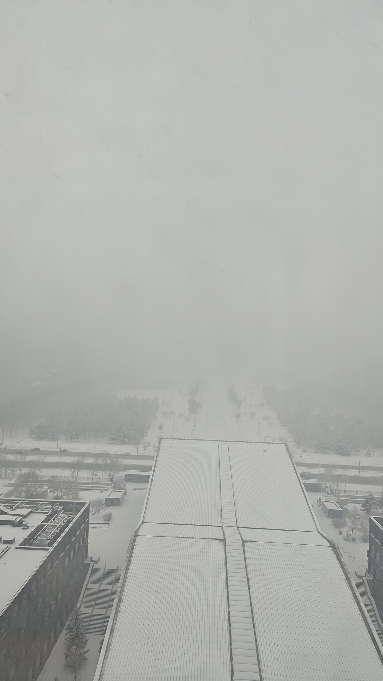 一、实况：12月23日03时至10时全地区平均降雪量4.4毫米，最大值8.7毫米