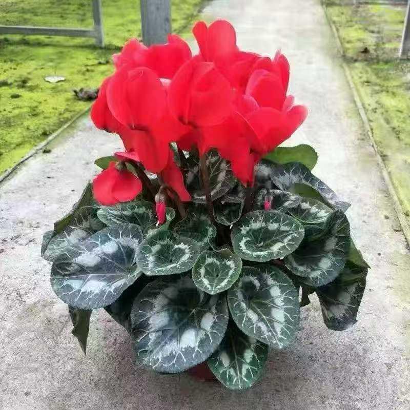 这次是真的失业了，工资还没拿到手，心里慌得不行。只能赶紧又去投简历找工作，可现在