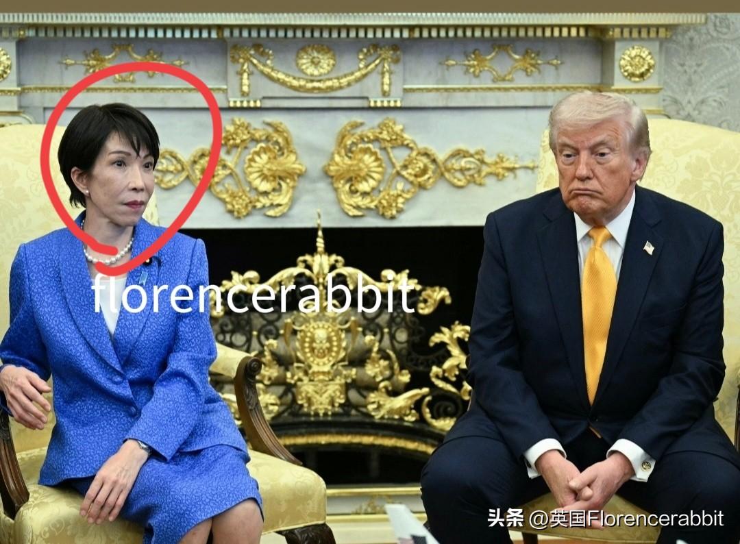 唐纳德令日本首相震惊不已！
周四，在与日本首相会晤期间，当被问及美国为何没有向盟