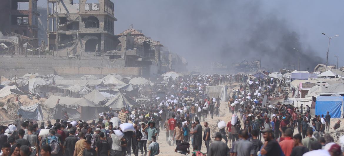 联合国安理会投票批准美国的加沙和平方案，将组建国际稳定部队进驻 据报道，联合国安