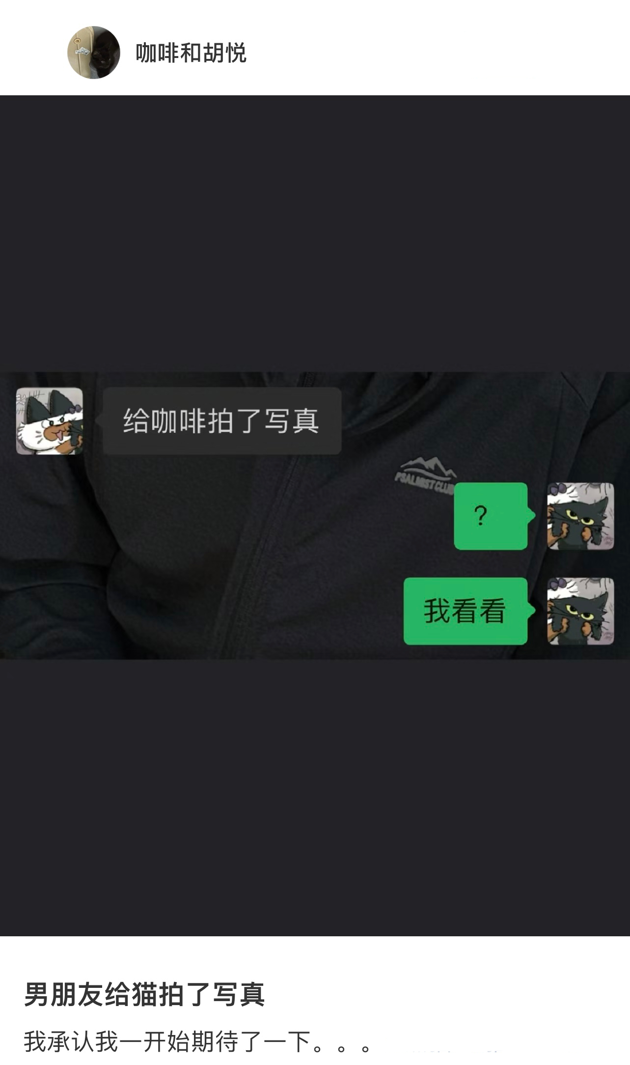 男朋友说给猫拍了一套写真 ​​​