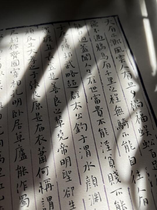 临摹班 马上开课