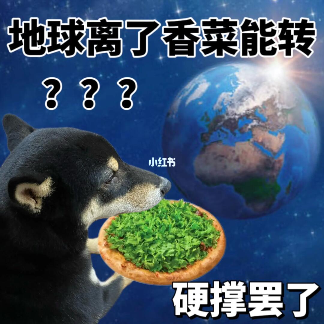 表情包|伟大的香菜！入我香门！香门永存！🤩