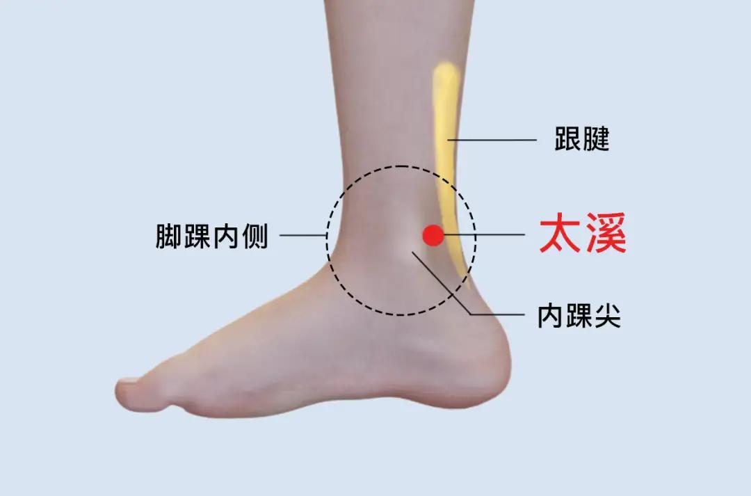 人体第一大补穴，“补肾气，断生死”，可抗百病！

我是“高等教育文摘”，深耕教育