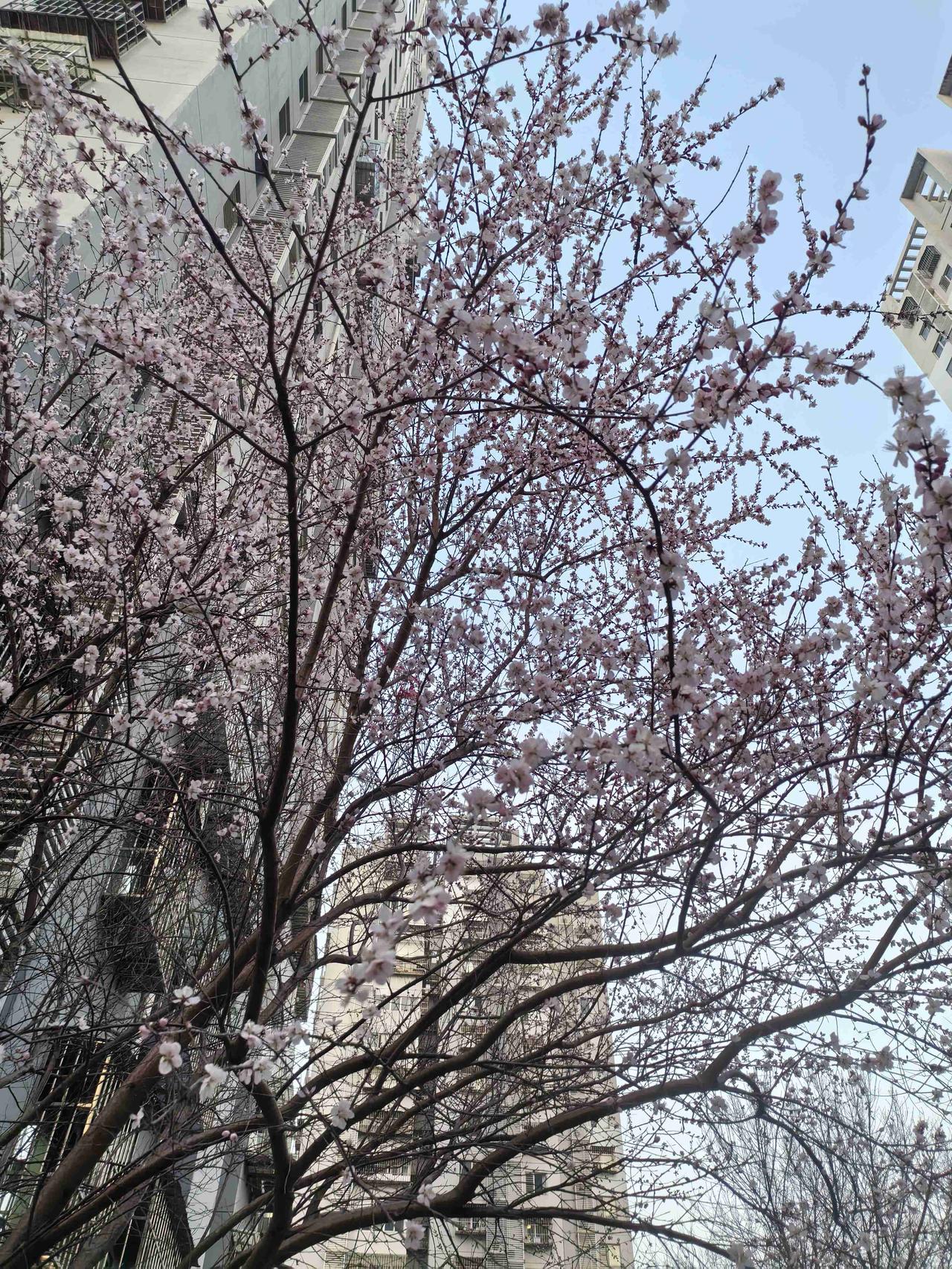 我的今日状态：💰期待暴富
我这里的天气：🌤️多云