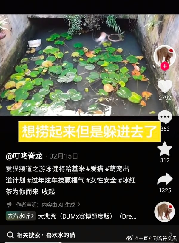 【虐///猫】此人账号盗用（不知道是真人coser还是ai）照片作为视频封面，视
