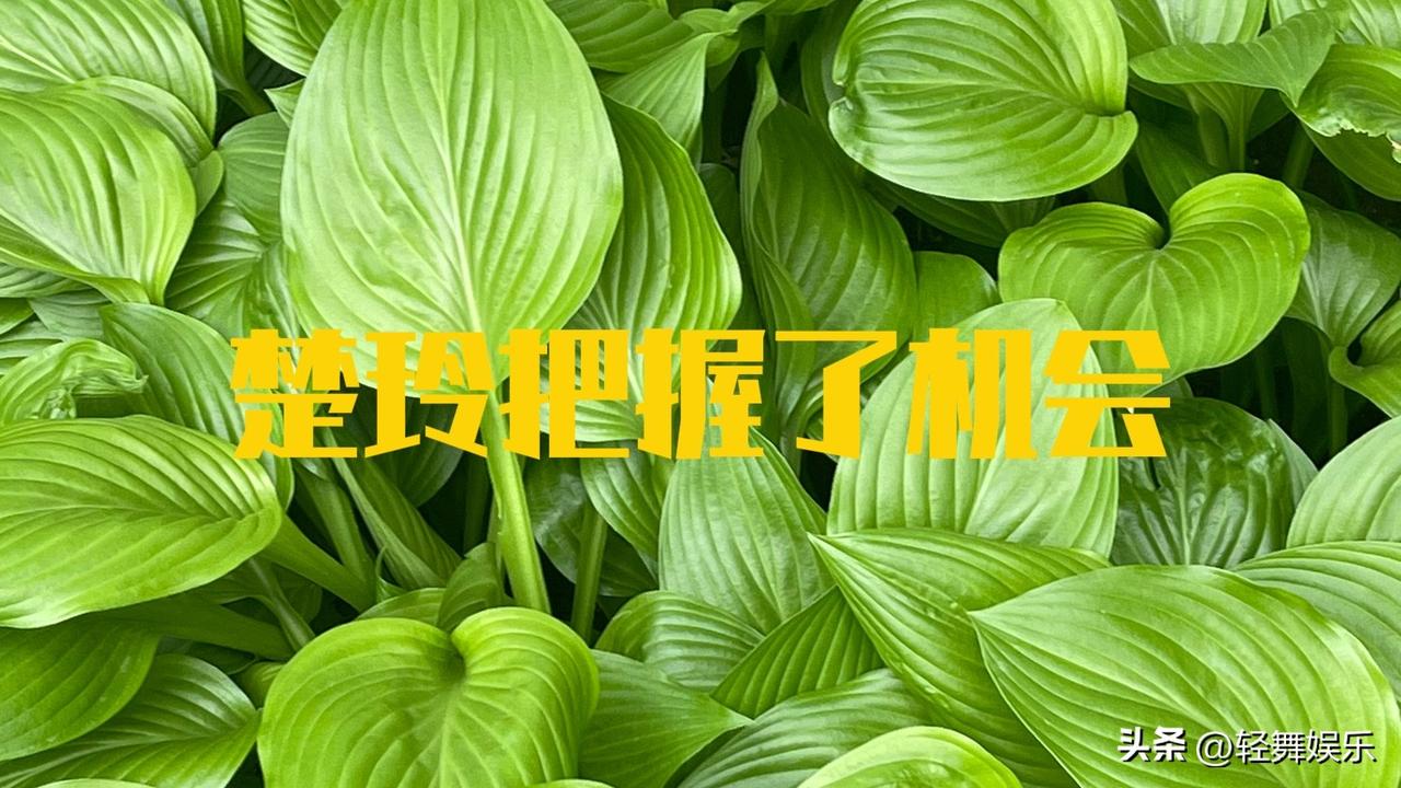 楚玲比杨珏莹勇敢吗？
楚玲遇到赖文峰时，
赖文峰已经事业有成，
外表儒雅又帅气，