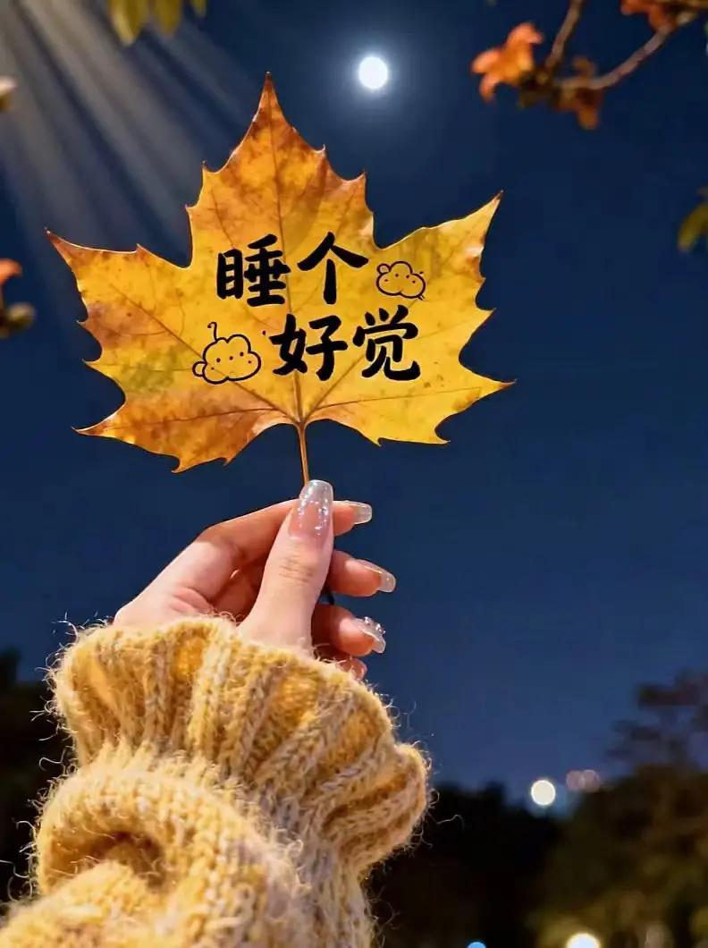 缓缓飘落的枫叶像思念 金色季节 金色的浪漫