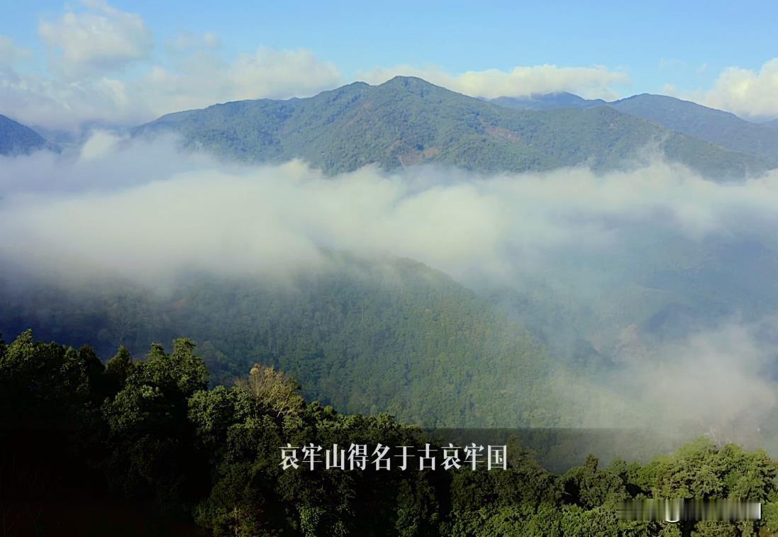 近日，云南的哀牢山再次成为公众关注的焦点。为保护这片原始而神秘的自然区域，相关部
