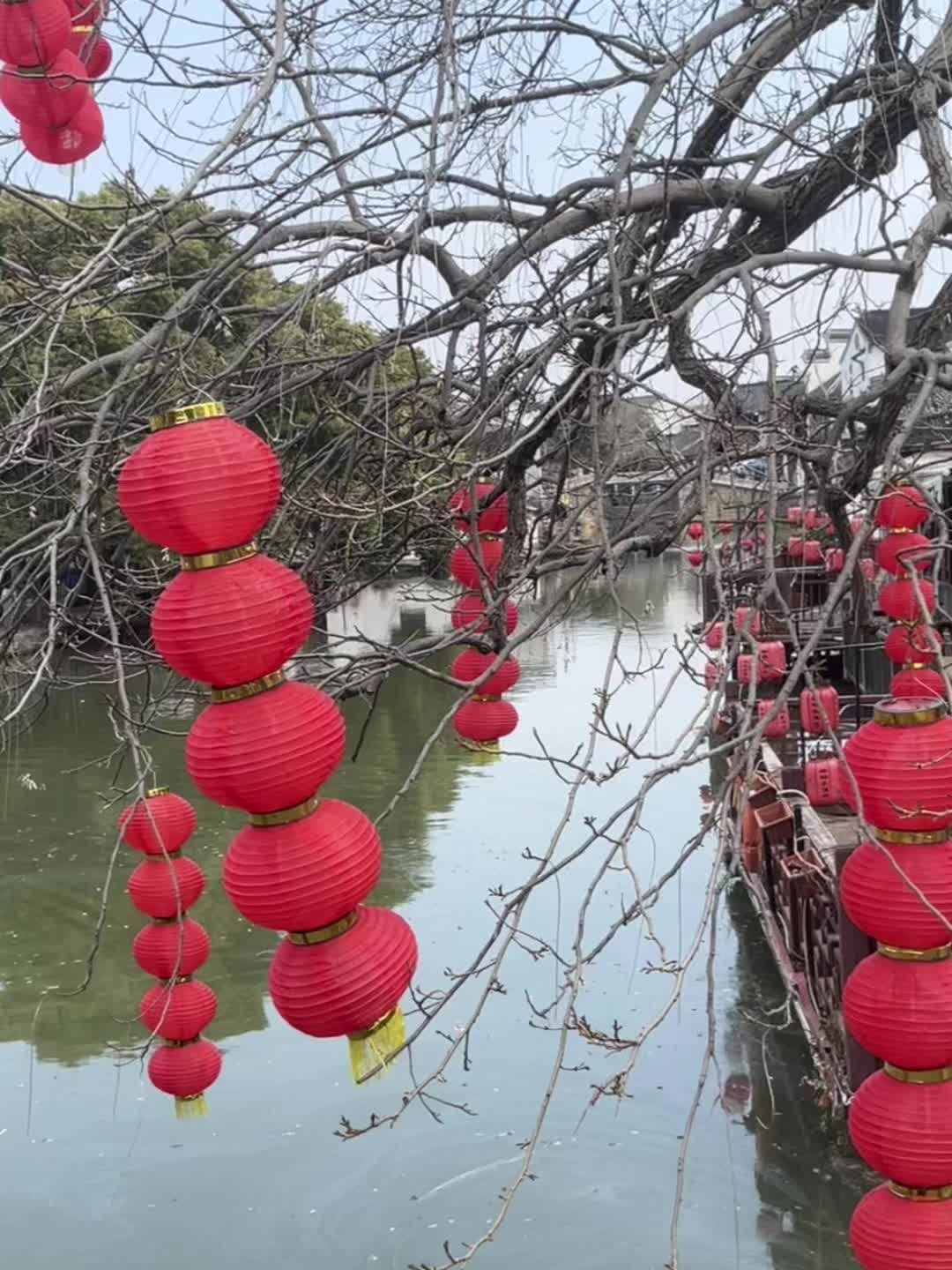 我年纪越大，就越觉得那些心理阴暗，一肚子心计，满脑子阴谋论的人，是因为...