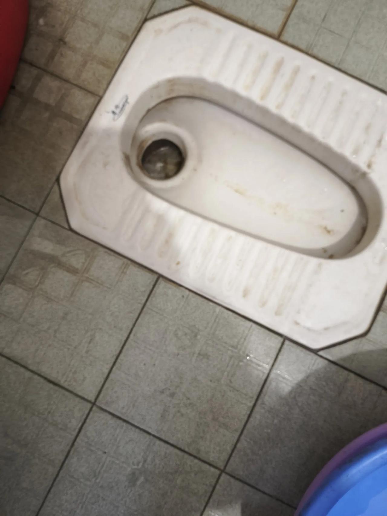 今天早上起来上厕所，就看到厕所地上放着捅马桶的那个吸厕器，我就知道是厕所堵了，老