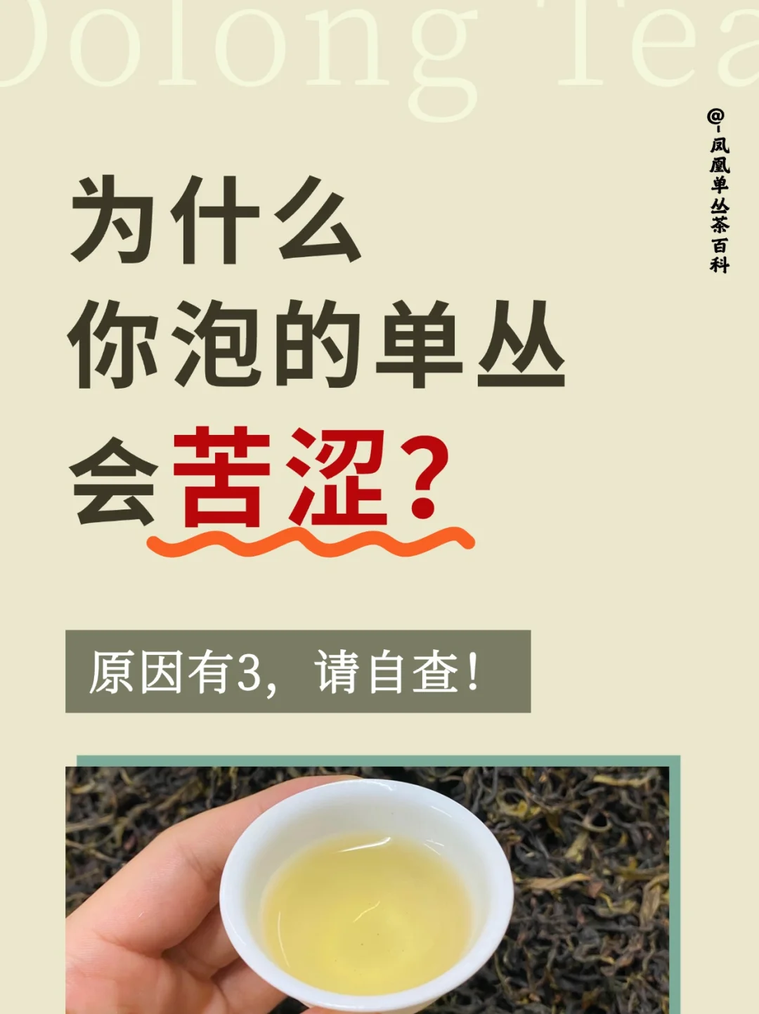 为什么你泡的茶又苦又涩❓看看你中招了没