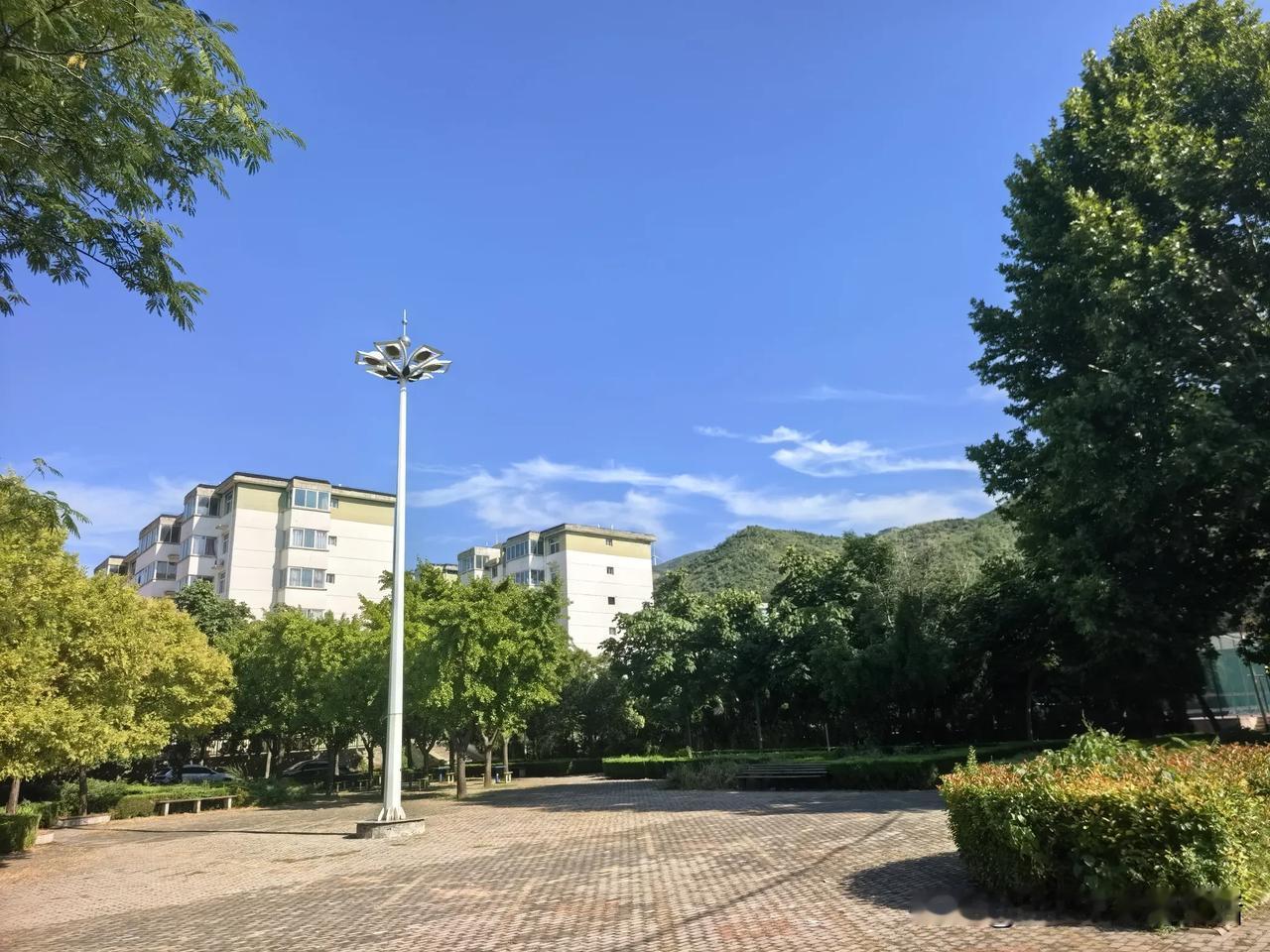 退休小老太18线小城的惬意，谁能理解？[偷笑][偷笑][偷笑]

市场上一块钱一