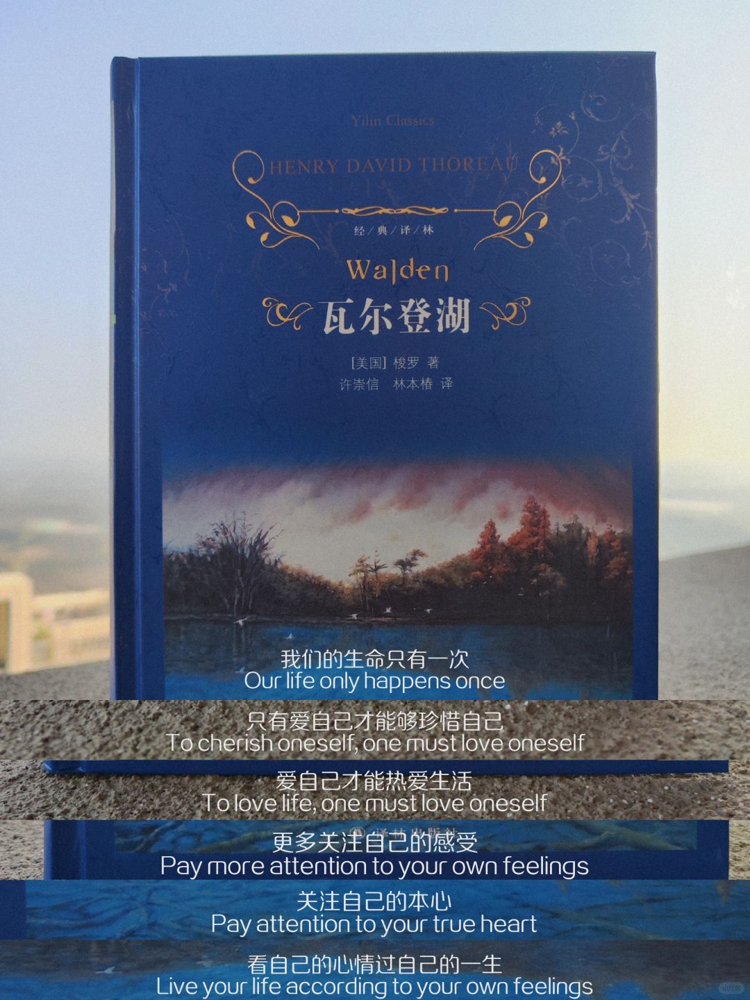 第508本：你，可曾对瓦尔登湖表示过怀疑？