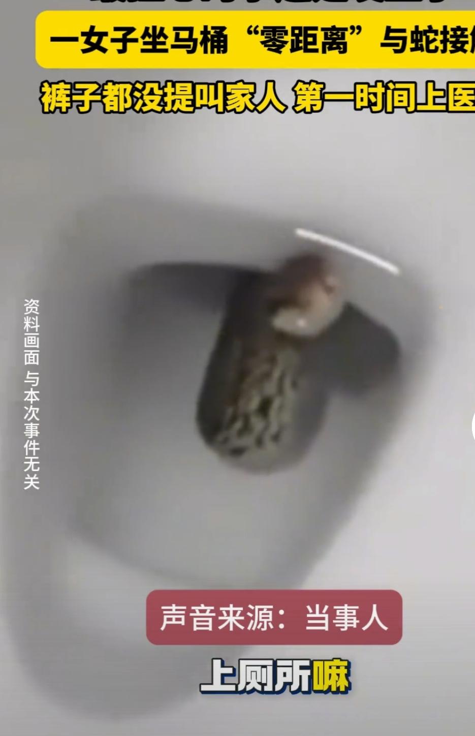 半夜上厕所遭蛇“偷袭”屁股？这惊悚剧情比恐怖片还刺激！
 
家人们，谁能想到上厕