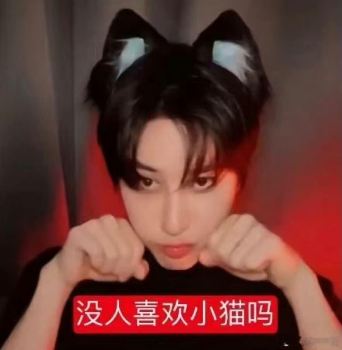 Mike真的太好笑了哈哈哈哈哈哈直播时拿出猫咪发箍真的把我笑疯了笑得我肚子疼 