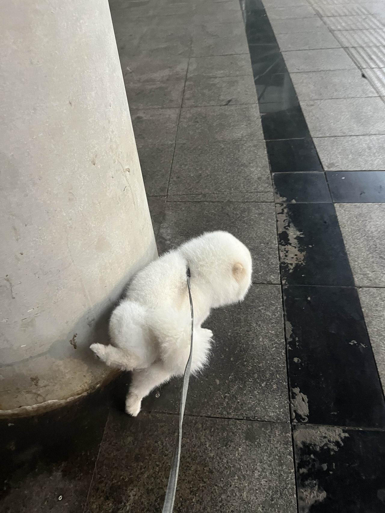 巴威迷局
台风巴威到访，悄然间改变了不少人的日常状态。其实生活里多数人都不愿推翻