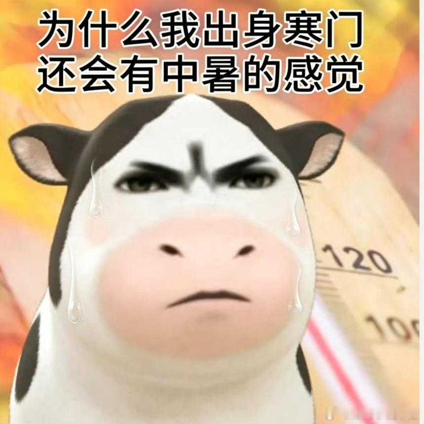 我发现凡是自己出来创业的，基本上都劝别人别干自己那行。所以总结起来就是：别创业了