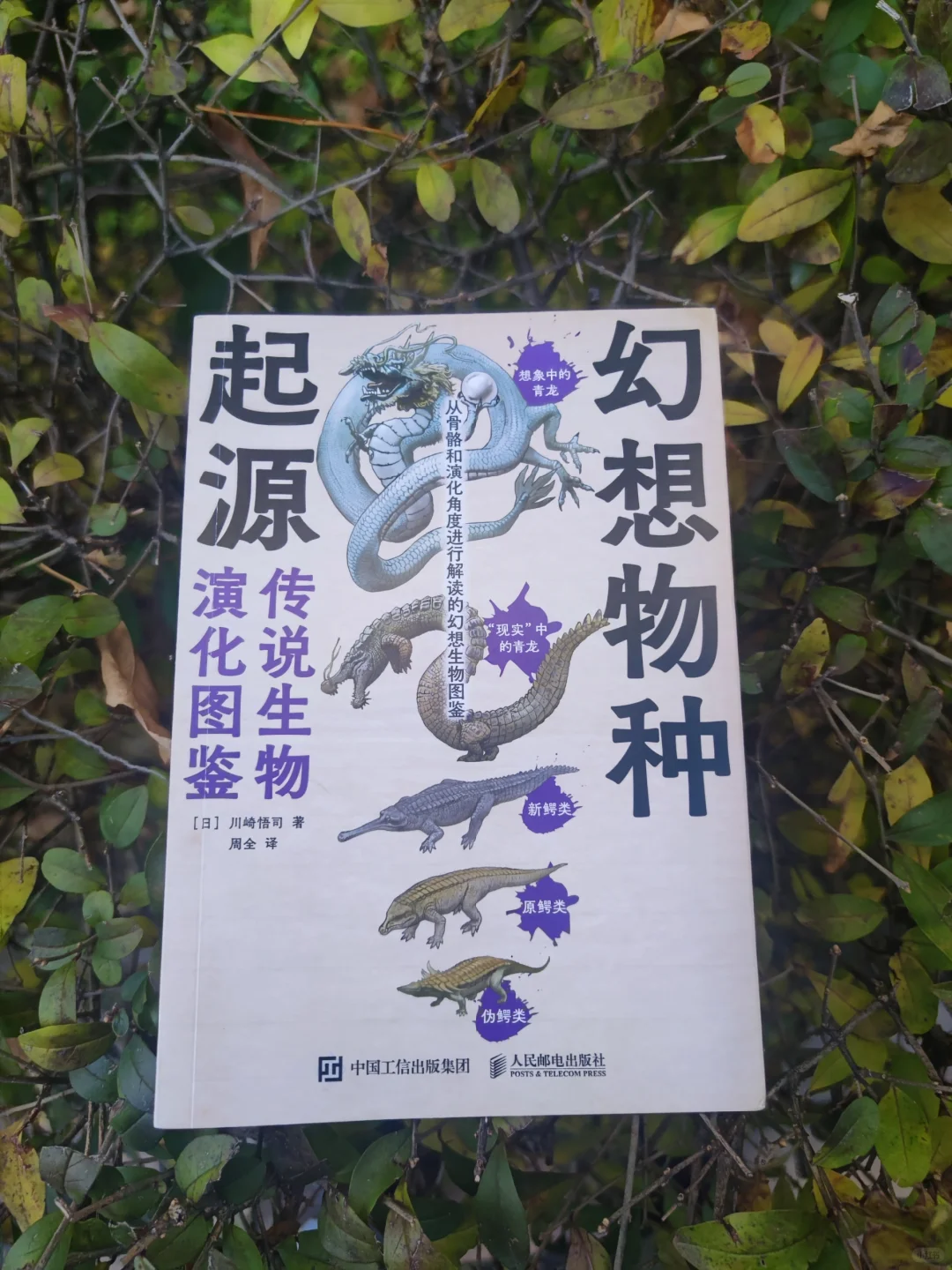 《幻想物种起源》：传说与科学膨胀出的火花