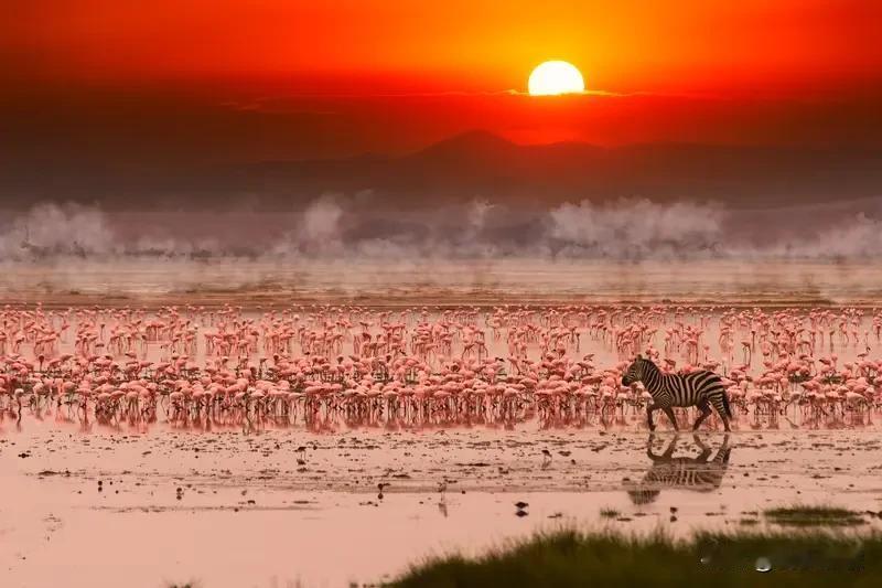 中国为什么要不遗余力
支持非洲发展和崛起
这背后是一场巨大的战略布局
很多人不理