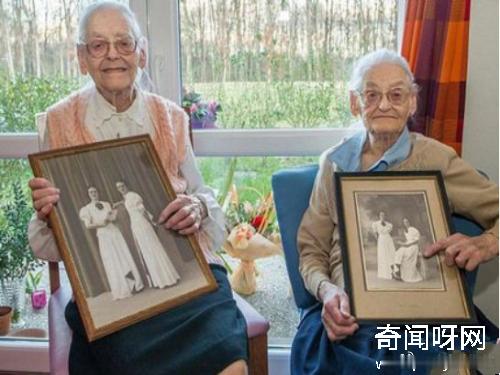 头一次见老胞胎第一次听说"老胞胎"这个词，以为是网络段子，结果搜了一圈发现是真的